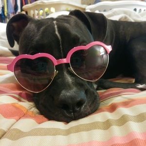 Meet your Posher, Carley